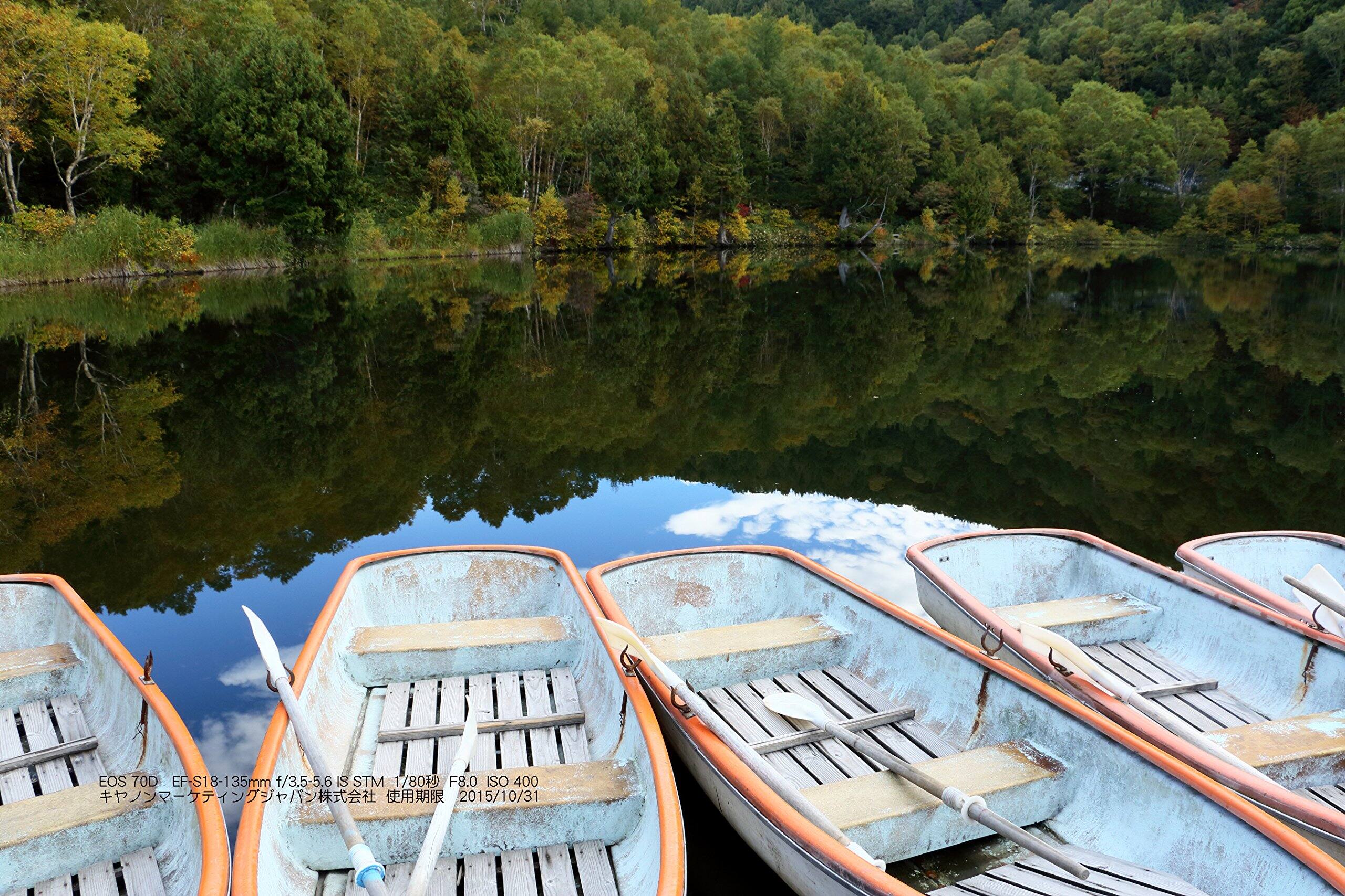 EOS 70D EF-S 18-135mm f/3.5-5.6 IS STM  
1/80 F8.0 ISO 400  
2015/10/31  

EOS 70D EF-S18-135mm f/3.5-5.6 IS STM  
1/80秒 F8.0 ISO 400  
2015/10/31  

キヤノンマーケティングジャパン株式会社 使用期限