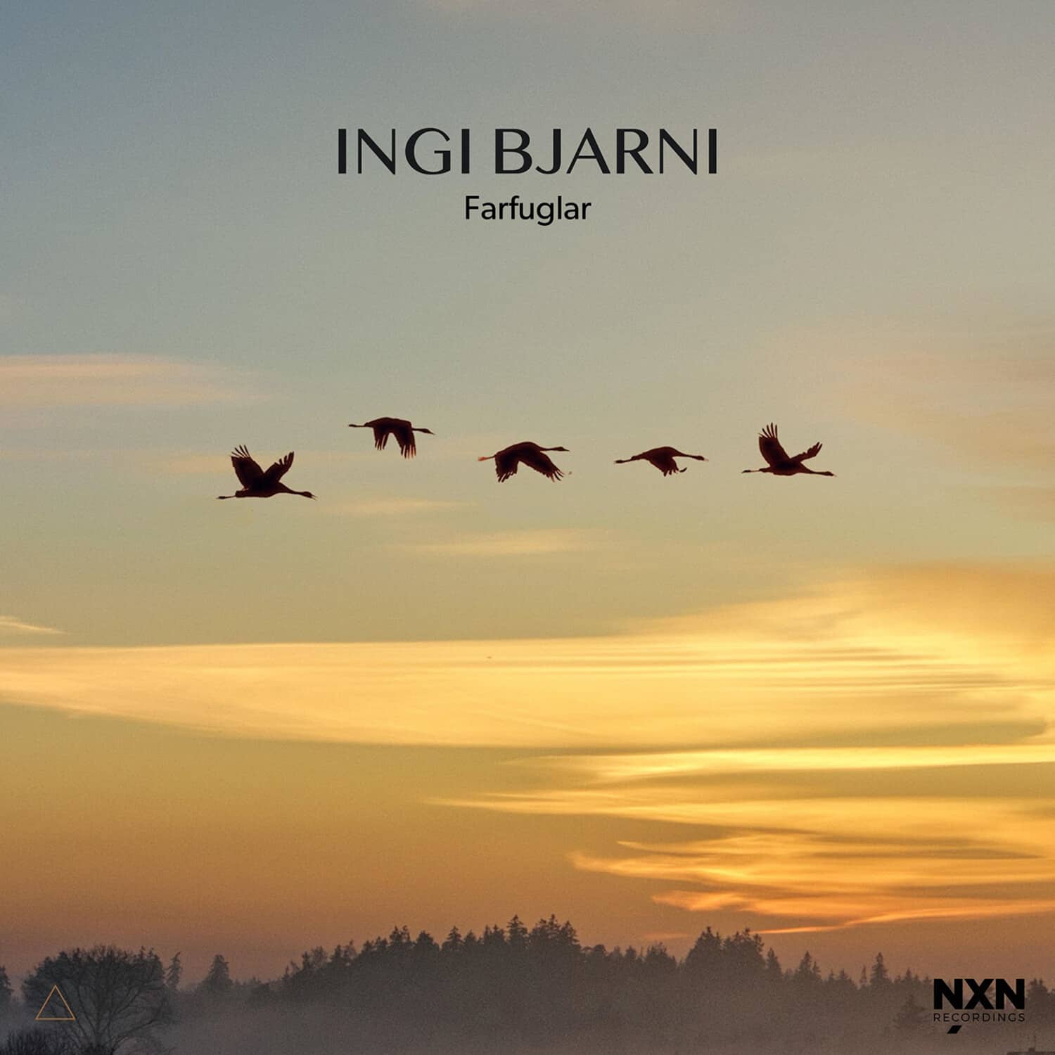 Ingi Bjarni Skulason - Farfuglar   - COMPACT DISCS [CD] price history on PriceWatchPro
