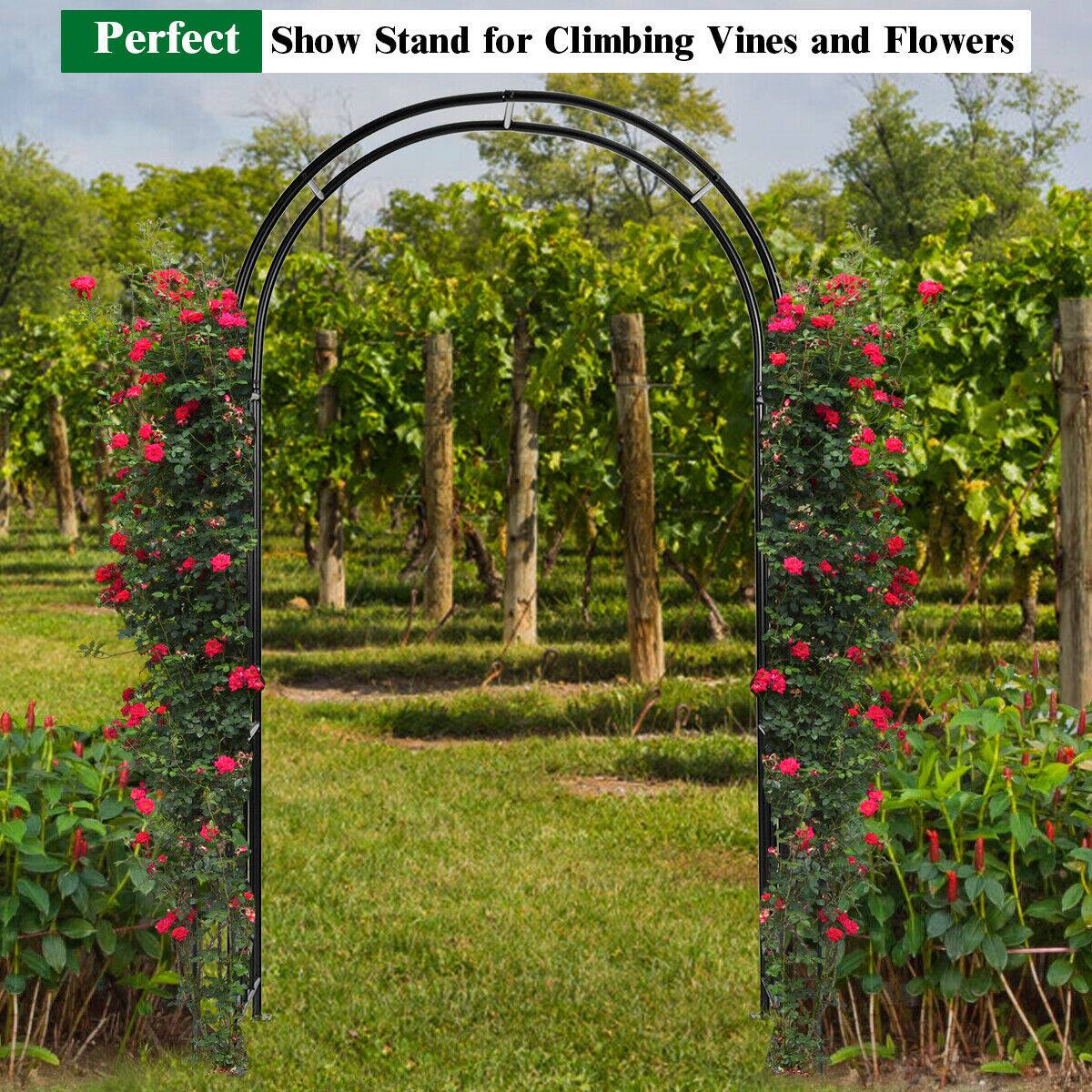 Perfect Show Stand for Climbing Vines and Flowers