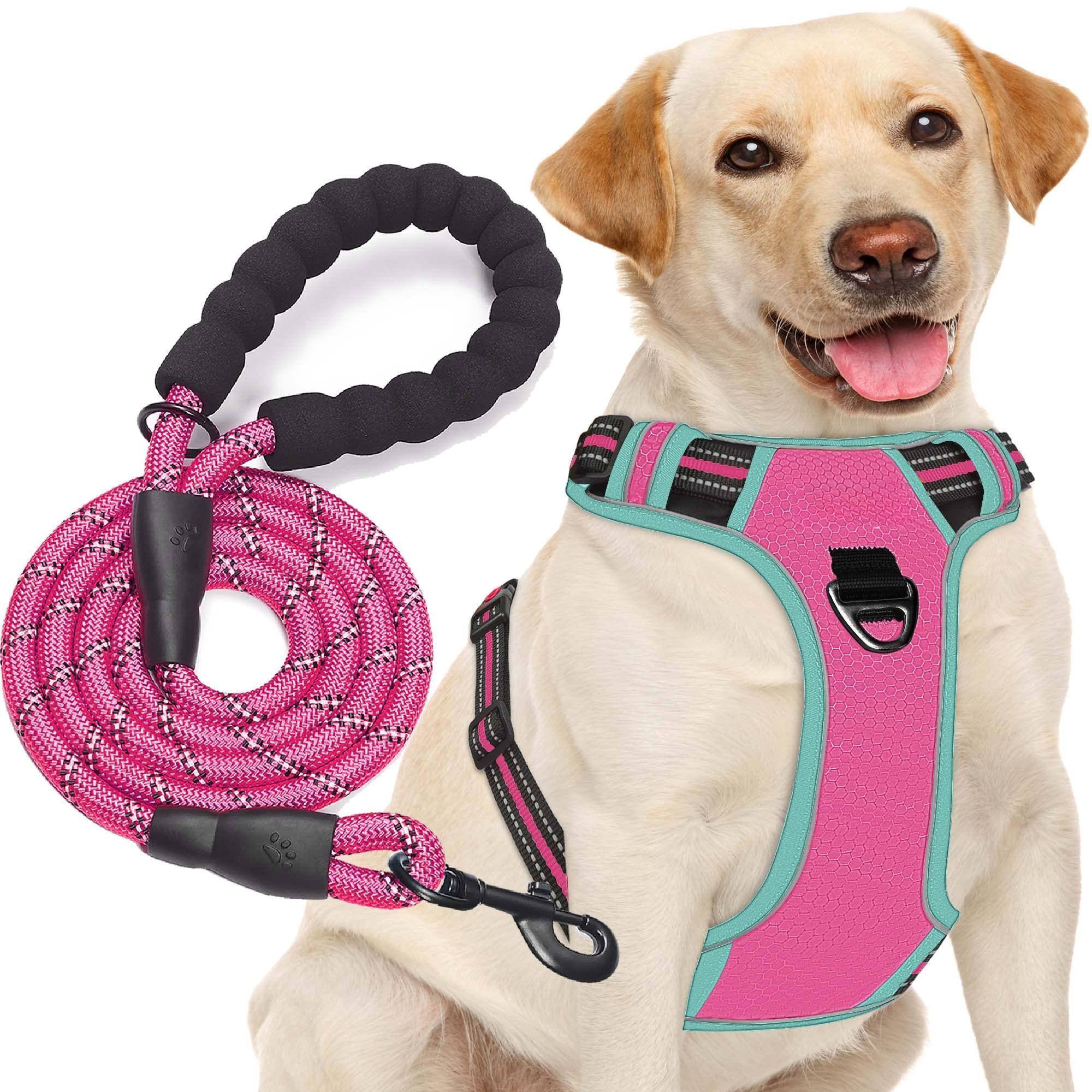 Pink/Blue Harness+Leash-Medium