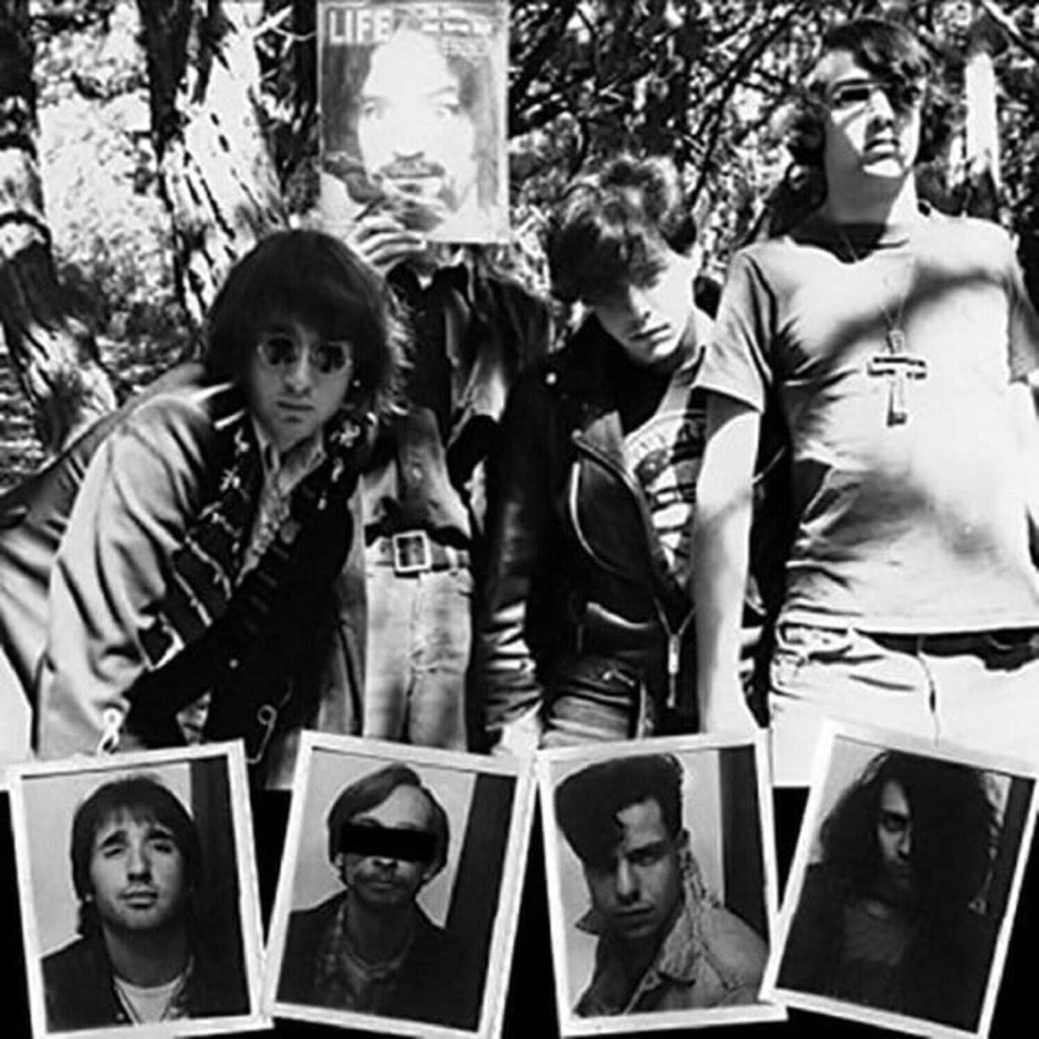 Front. Dwarves - Lick It 1983-86   - VINYL LP.