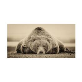 Trademark Fine Art - Phburchett 'Deep Sleep' Canvas Art - Multicolor
