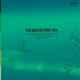 Damu the Fudgemunk & Raw Poetic - Instrumentals From The Reflecting Sea - VINYL LP