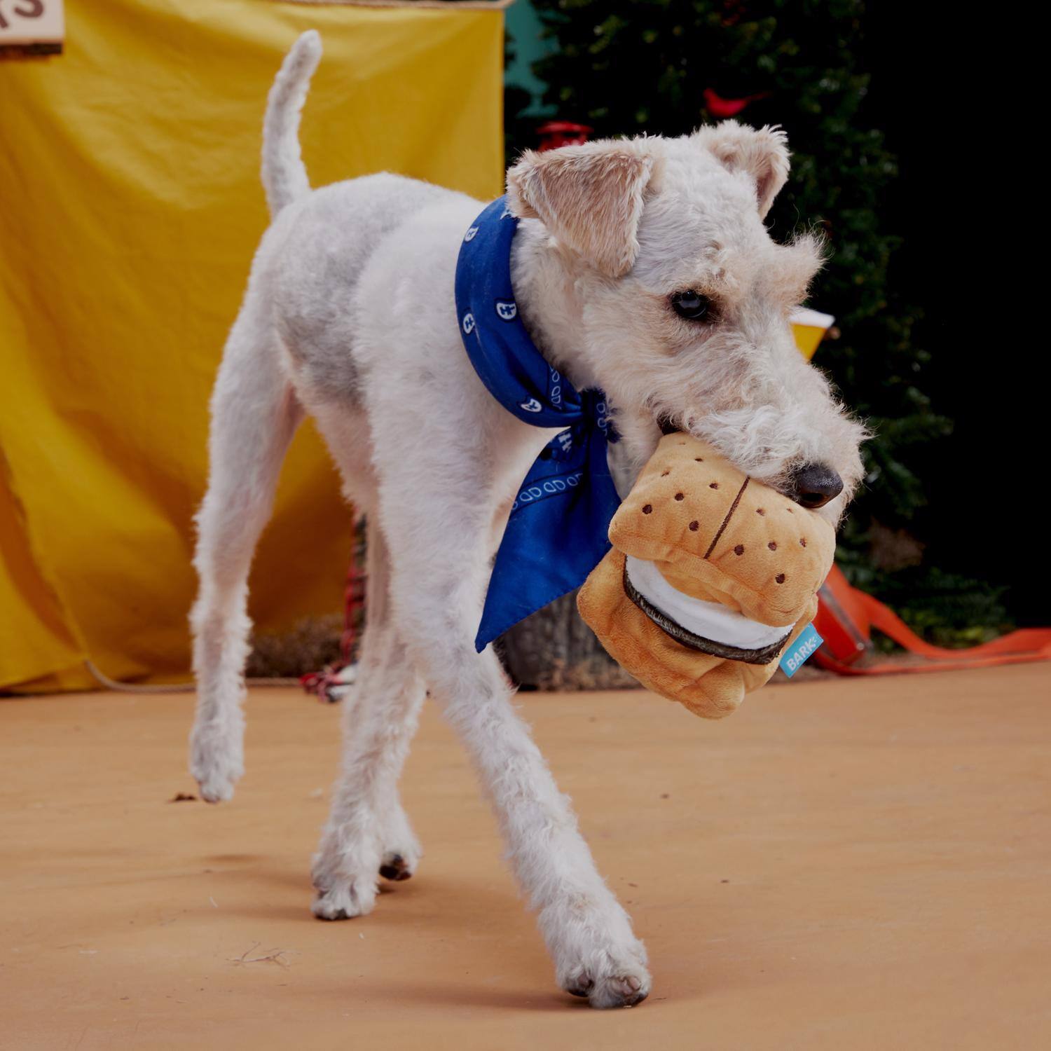 Angle. BARK - Bark Multicolored Plush More S'mores Dog Toy 1 pk (Case of 3) - Multicolored.