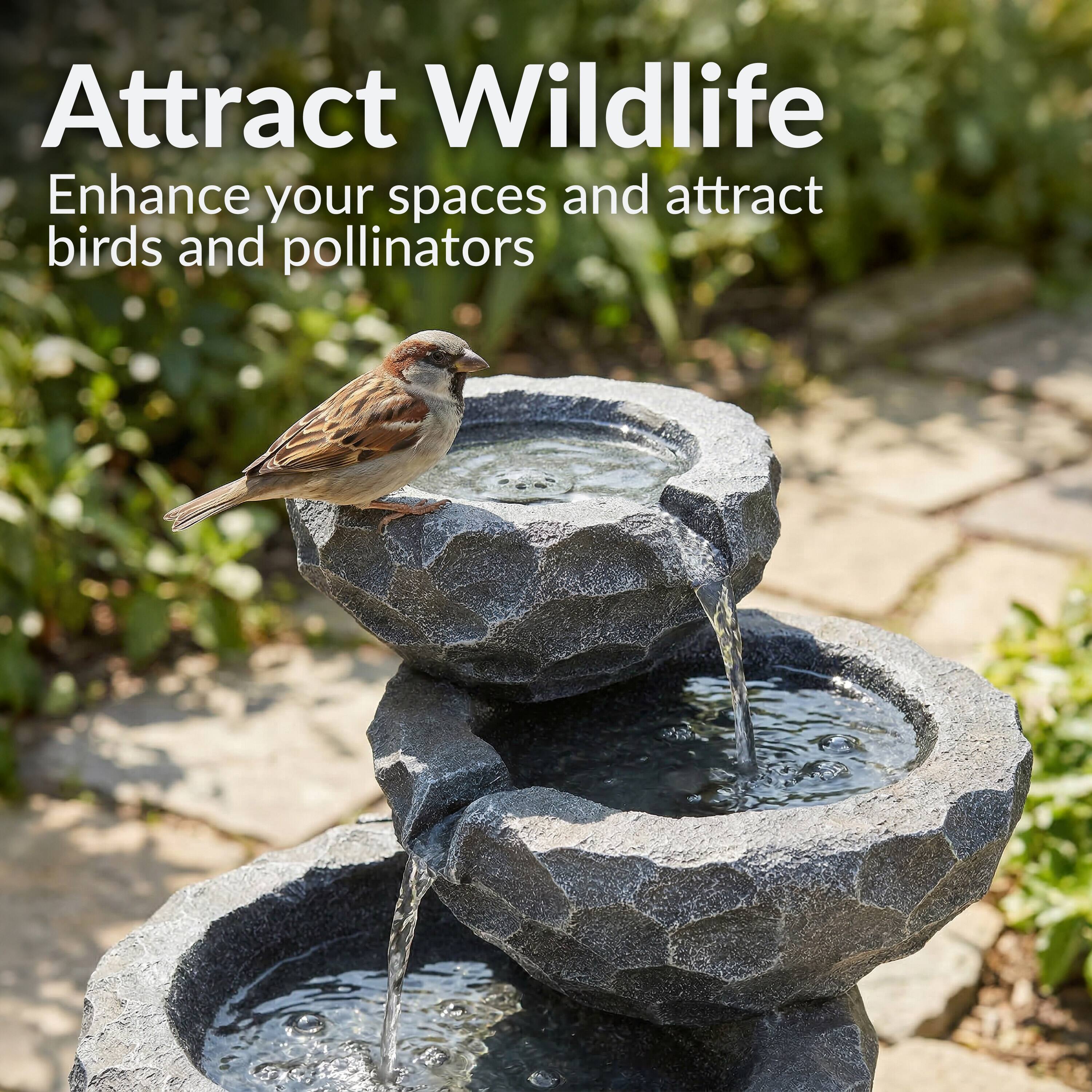 Attract Wildlife  
Enhance your spaces and attract birds and pollinators