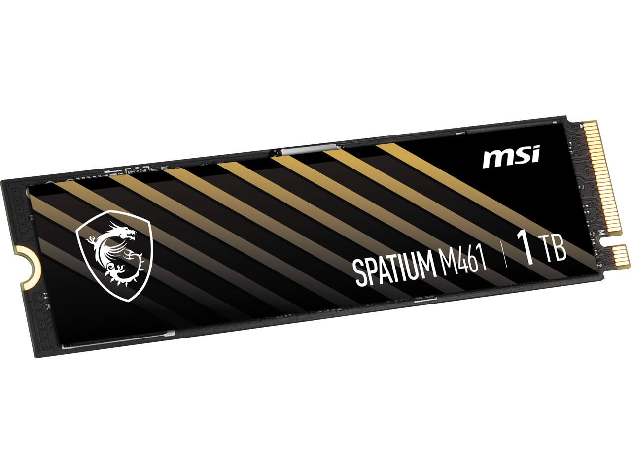MSI SPATIUM M461 1 TB