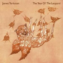 James Yorkston - The Year Of The Leopard - VINYL LP