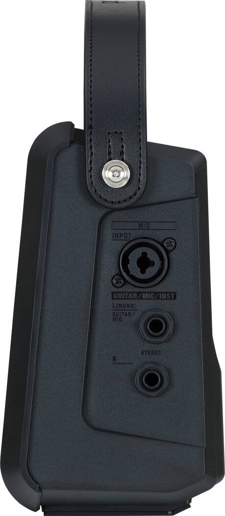 MIC INPUT  
GUITAR/MIC/INST  
L (MONO)  
GUITAR/MIC  
R  
STEREO