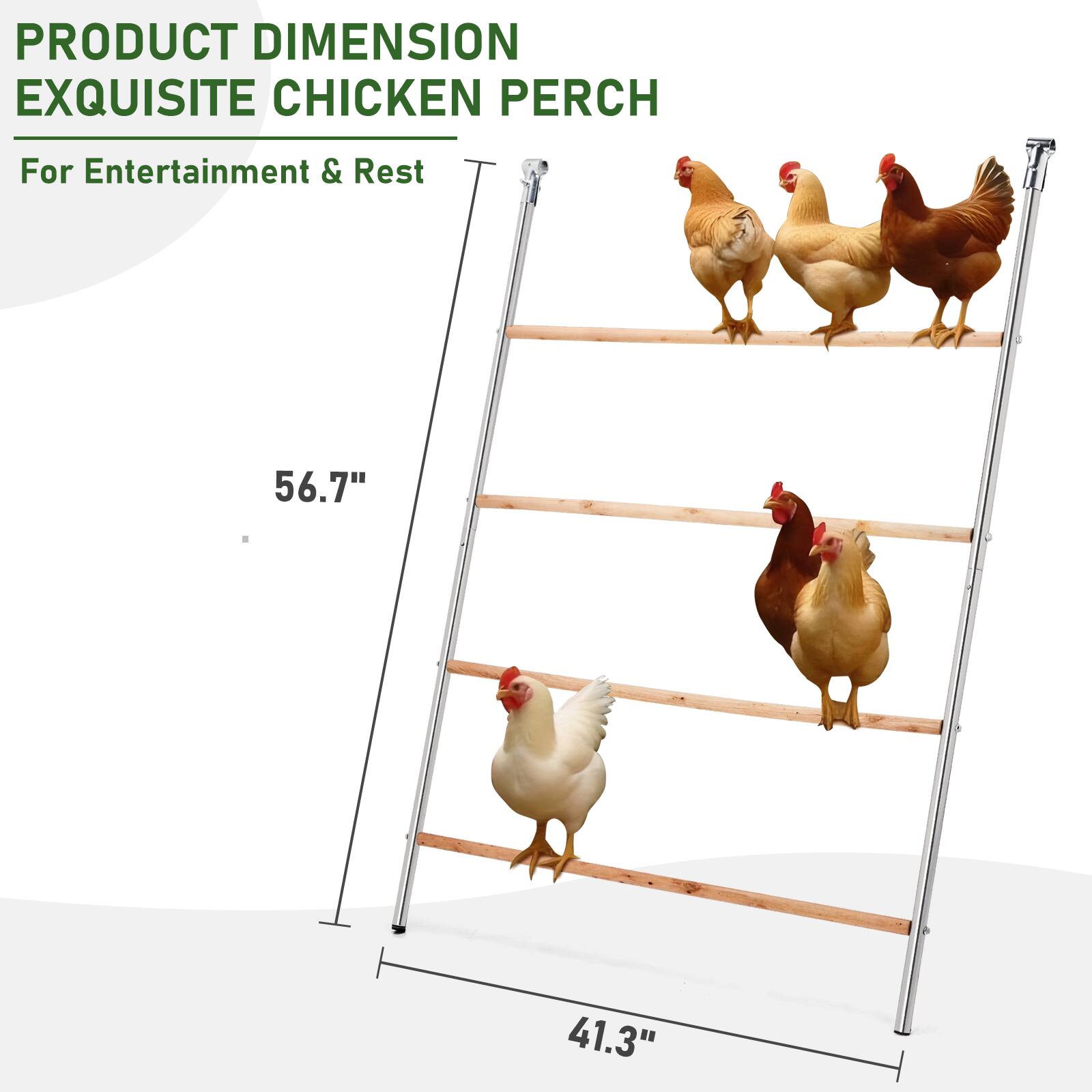 PRODUCT DIMENSION  
EXQUISITE CHICKEN PERCH  
For Entertainment & Rest  

56.7"  
41.3"