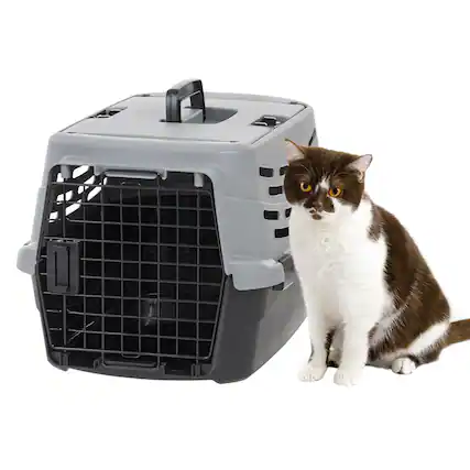 Front. IRIS USA - IRIS USA Small Pet Travel Carrier with Front and Top Access, Black/Gray.