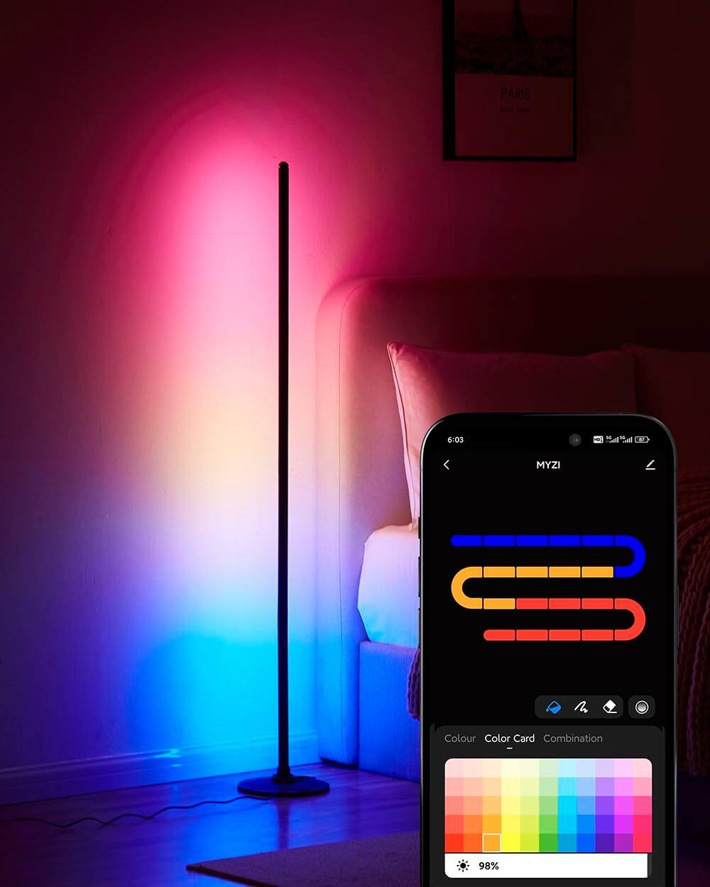 PARIS 6:03 Sd Sd .. MYZI Colour Color Card Combination 98%