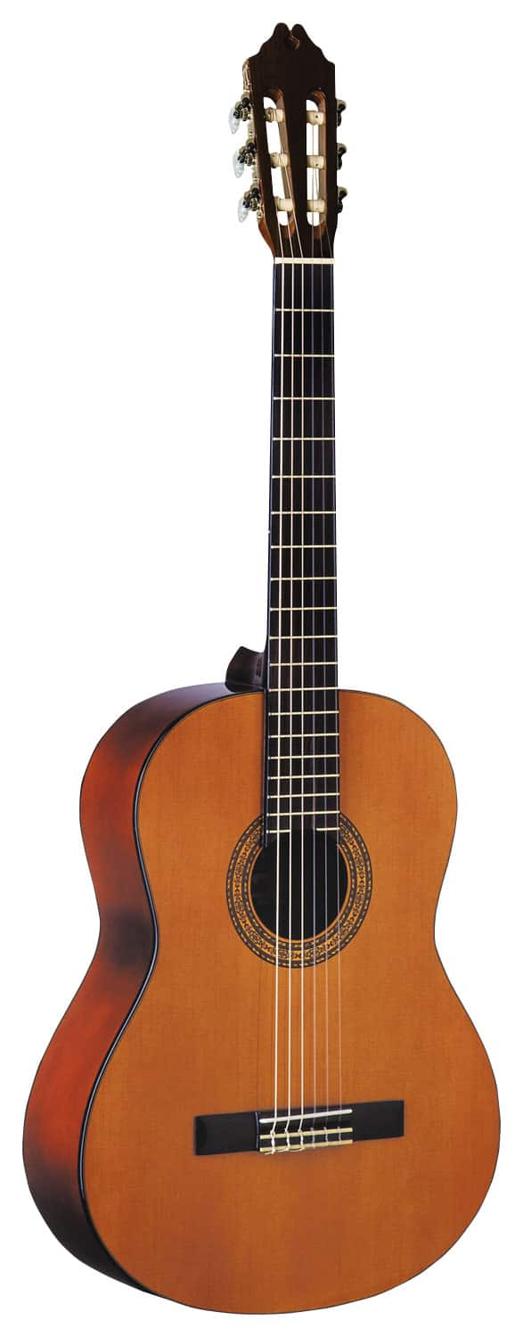 Best Buy: Washburn Classical Series 6-String Full-Size Acoustic Guitar ...