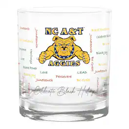 Indigo Falls - North Carolina A&T Aggies 14oz. Black History Month Rocks Glass - Multicolor