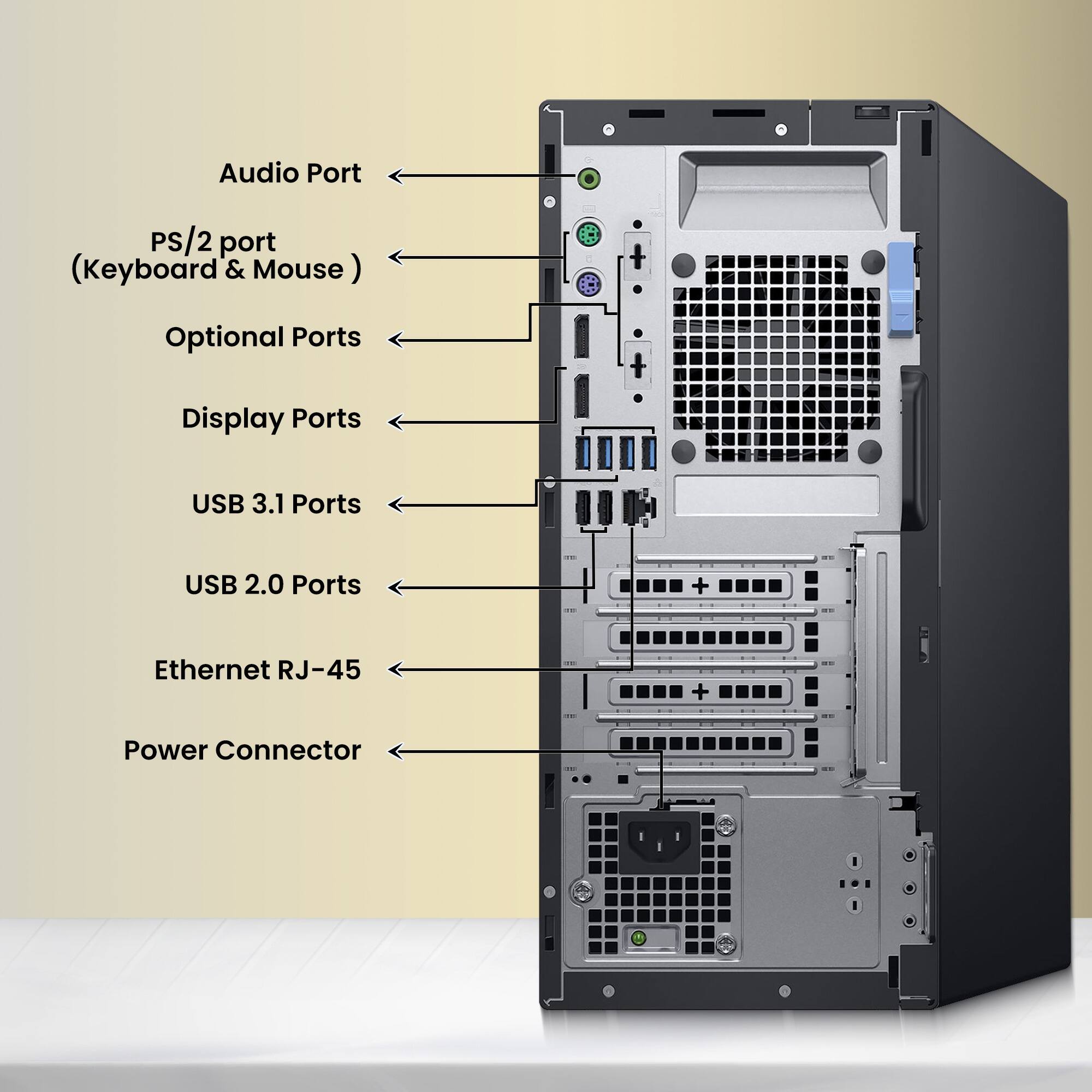 Audio Port  
PS/2 port (Keyboard & Mouse)  
Optional Ports  
Display Ports  
USB 3.1 Ports  
USB 2.0 Ports  
Ethernet RJ-45  
Power Connector
