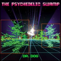 Psychedelic Swamp [LP] - VINYL - Front_Original
