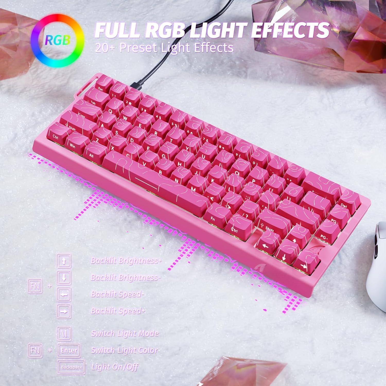 FULL RGB LIGHT EFFECTS  
20+ Preset Light Effects  

Backlit Brightness+  
Backlit Brightness-  
Backlit Speed-  
Backlit Speed+  
Switch Light Mode  
Switch Light Color  
Light On/Off  

FN + Backlit Brightness+  
FN + Backlit Brightness-  
FN + Backlit Speed-  
FN + Backlit Speed+  
FN + Enter Switch Light Mode  
FN + Backspace Light On/Off