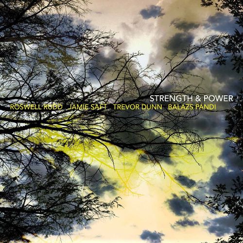 Strength & Power [LP] - VINYL