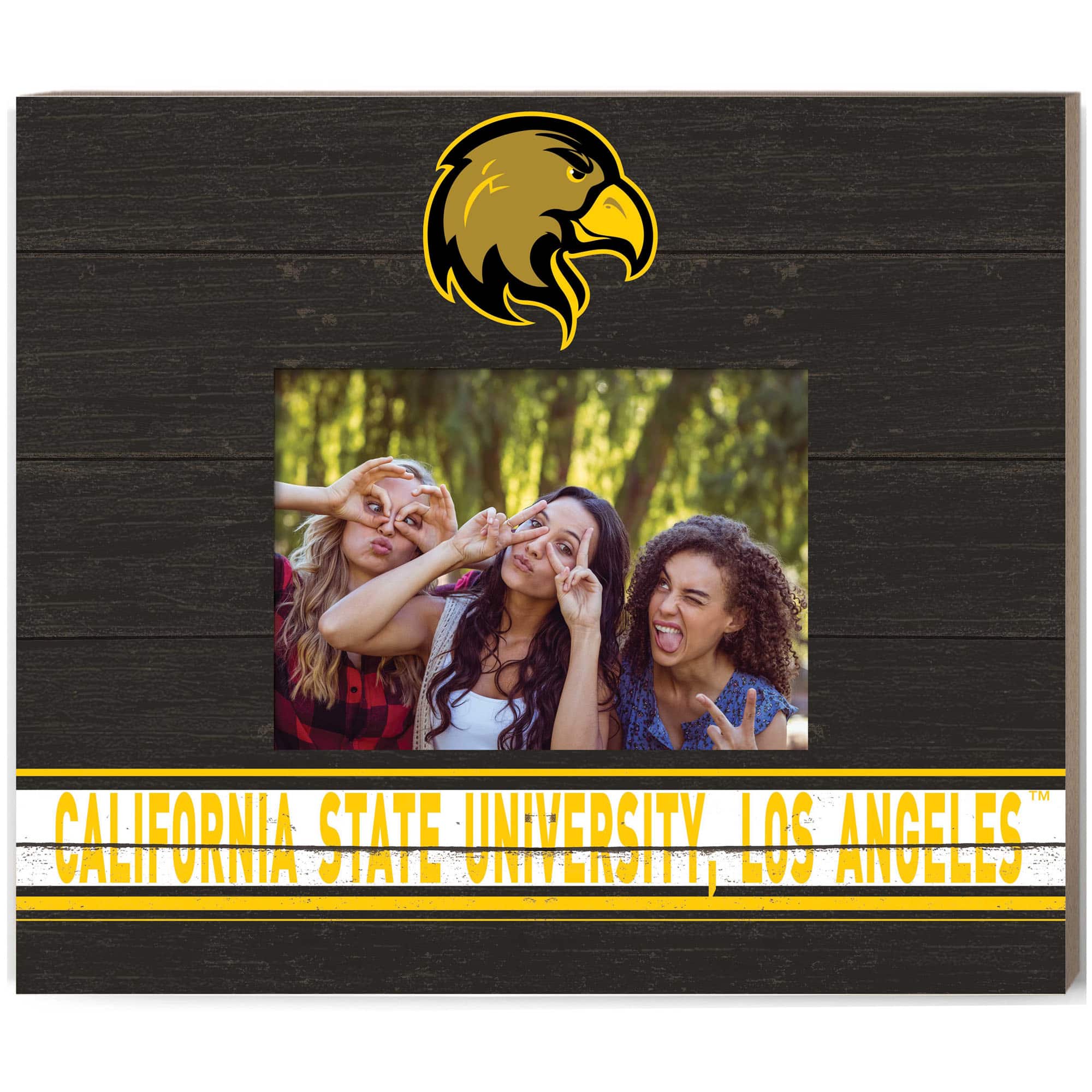 "Jardine - Cal State L.A. Golden Eagles 11"" x 13"" Team Spirit Scholastic Picture Frame - Black" price history on PriceWatchPro