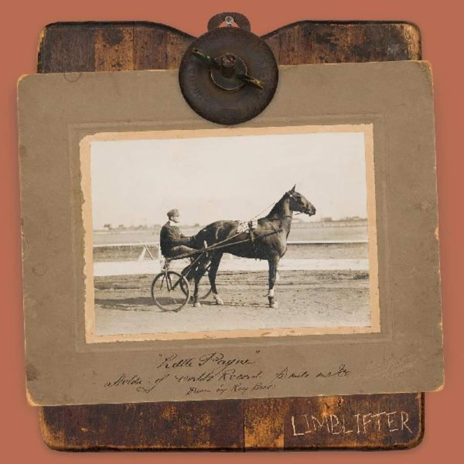 Limblifter - Little Payne   - VINYL LP price history on PriceWatchPro