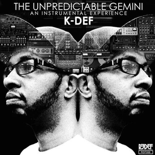 

The Unpredictable Gemini [LP] - VINYL