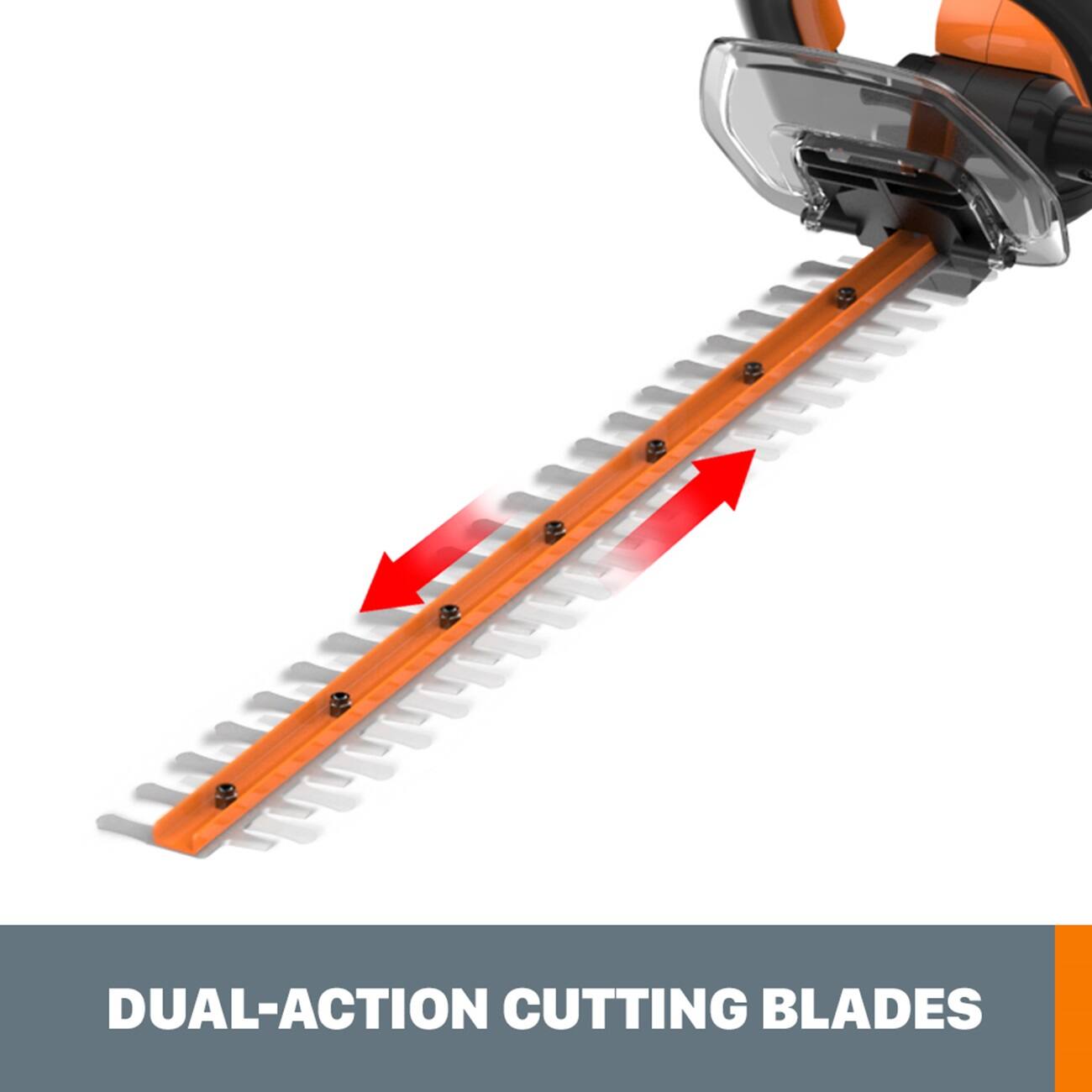 Dual-Action Cutting Blades
