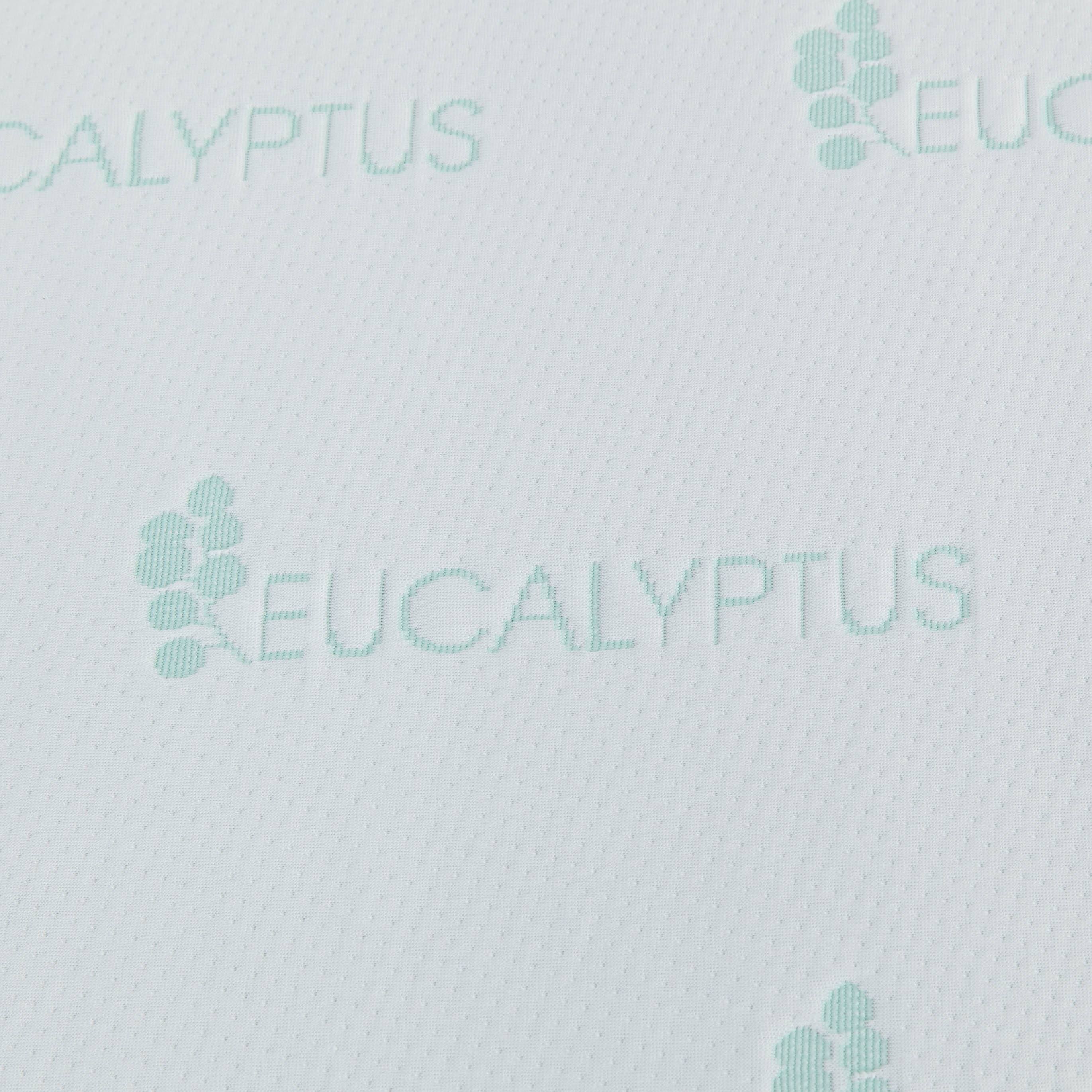 EUCALYPTUS