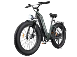 Isinwheel - U8 Electric Bike for Adults(1000W Motor , 20MPH Top Speed , 105Miles Range , 48V 18Ah Battery) - Green