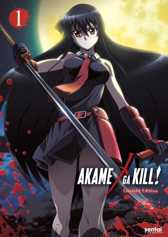 Best Buy: Akame Ga Kill!: Collection 2 [Premium Box Set] [Blu-ray/DVD ...