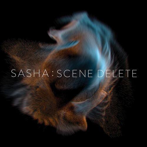 

Scene Delete [LP] - VINYL