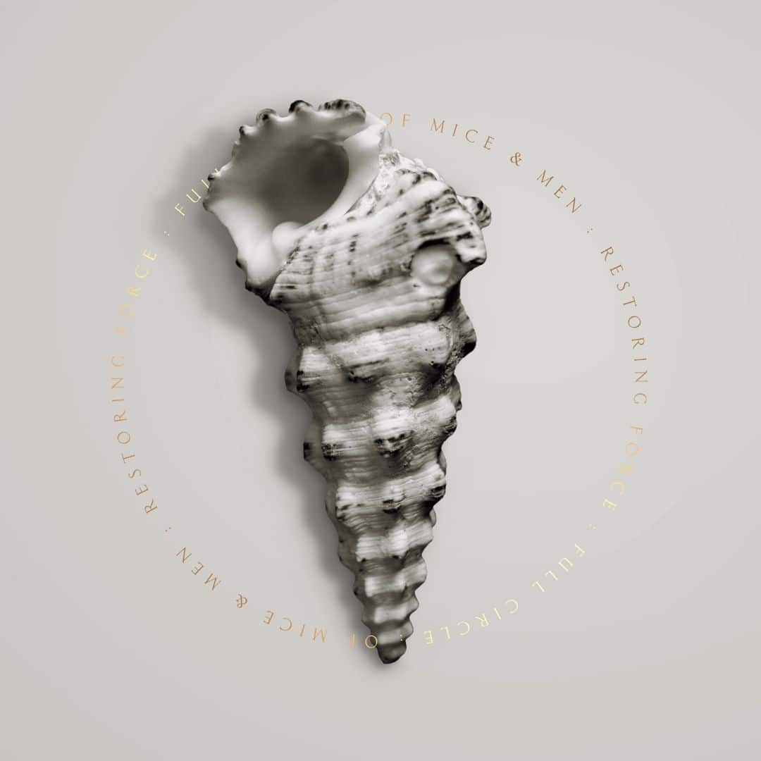 best-buy-restoring-force-full-circle-deluxe-edition-cd