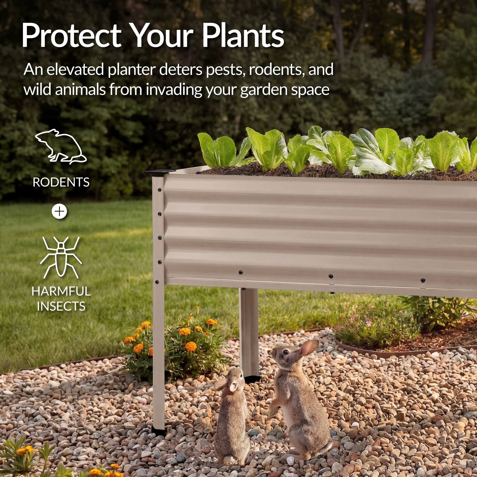 Protect Your Plants

An elevated planter deters pests, rodents, and wild animals from invading your garden space

RODENTS + HARMFUL INSECTS