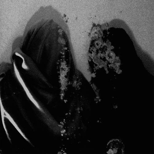 

Luwte [LP] - VINYL