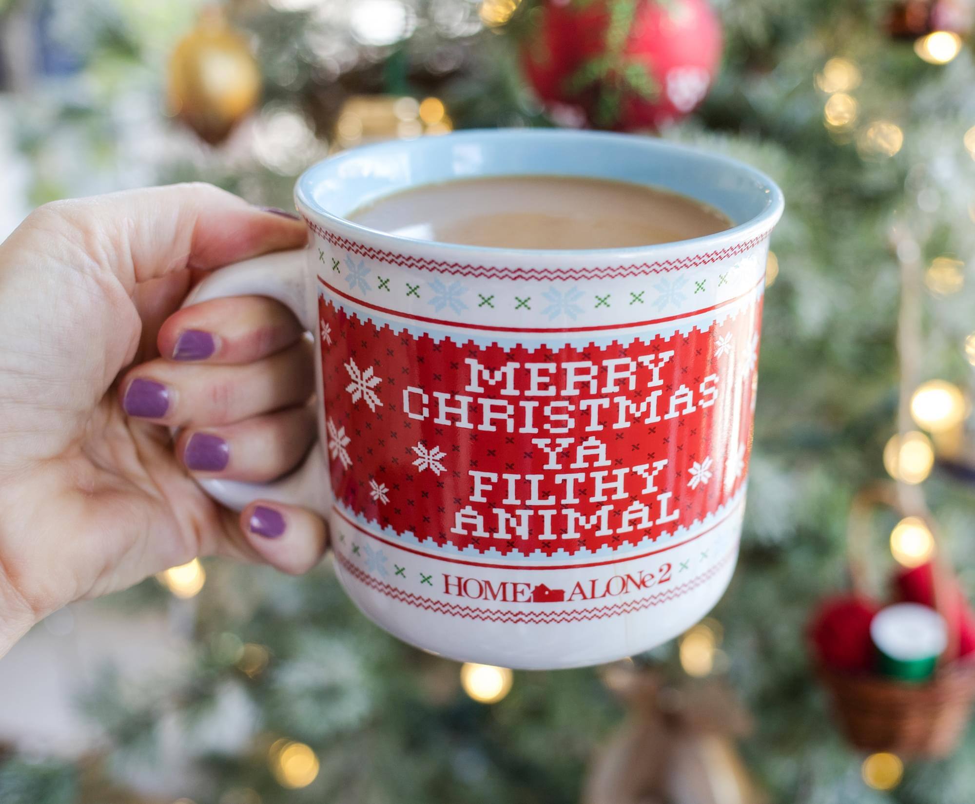 MERRY CHRISTMAS YA FILTHY ANIMAL  
HOME ALONE 2