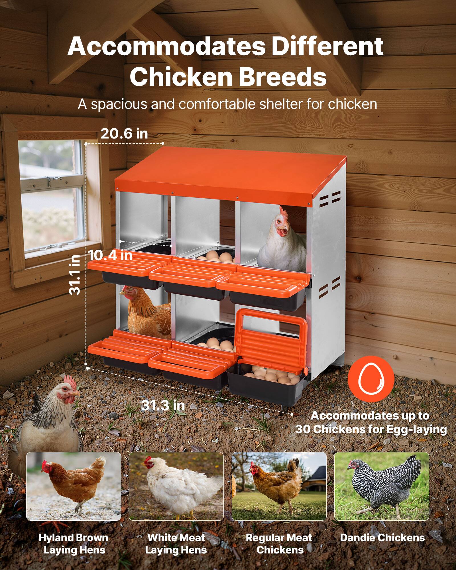 Accommodates Different Chicken Breeds

A spacious and comfortable shelter for chicken

20.6 in x 10.4 in x 31.1 in x 31.3 in

Accommodates up to 30 Chickens for Egg-laying

Hyland Brown Laying Hens

White Meat Laying Hens

Regular Meat Chickens

Dandie Chickens