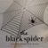 Front Standard. The  Black Spider [CD].