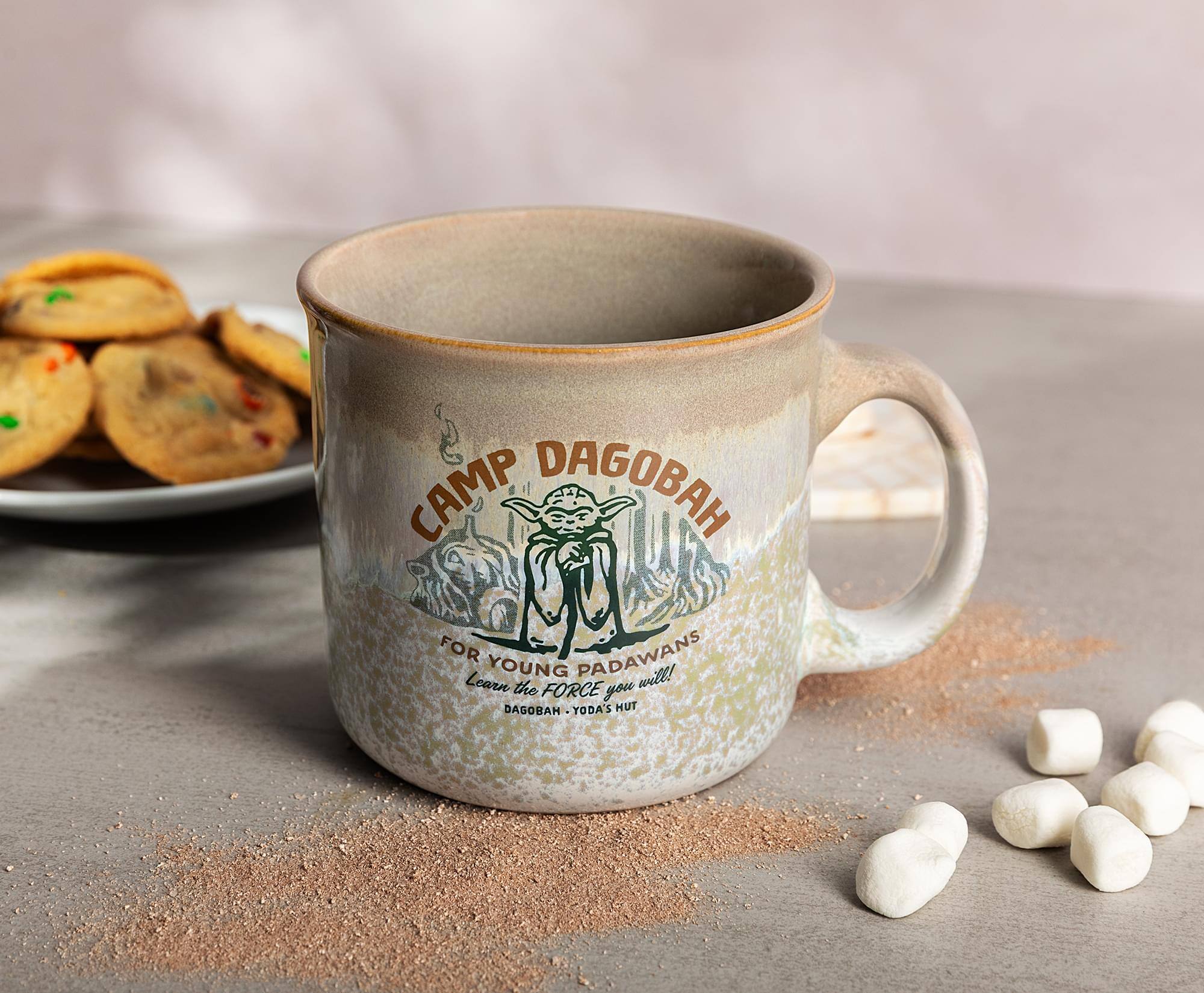 CAMP DAGOBAH  
FOR YOUNG PADAWANS  
Learn the FORCE  
DAGOBAH - YODA'S HUT