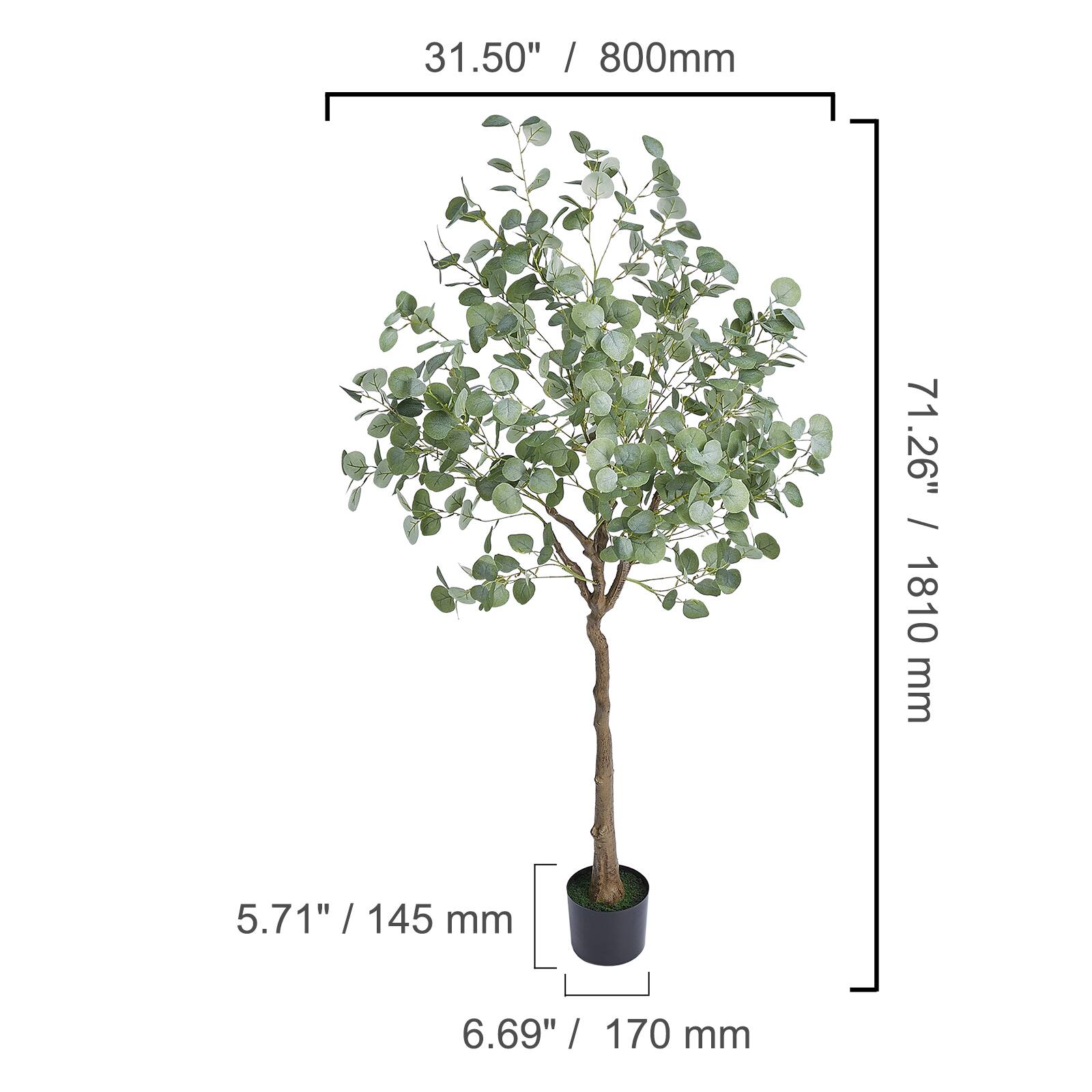 31.50" / 800mm  
71.26" / 1810mm  
5.71" / 145mm  
6.69" / 170mm