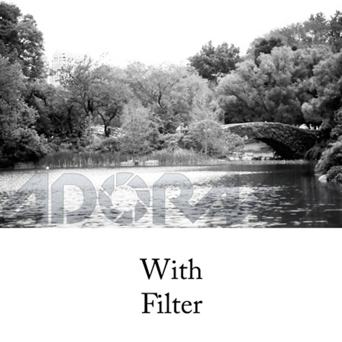 100% With Filter