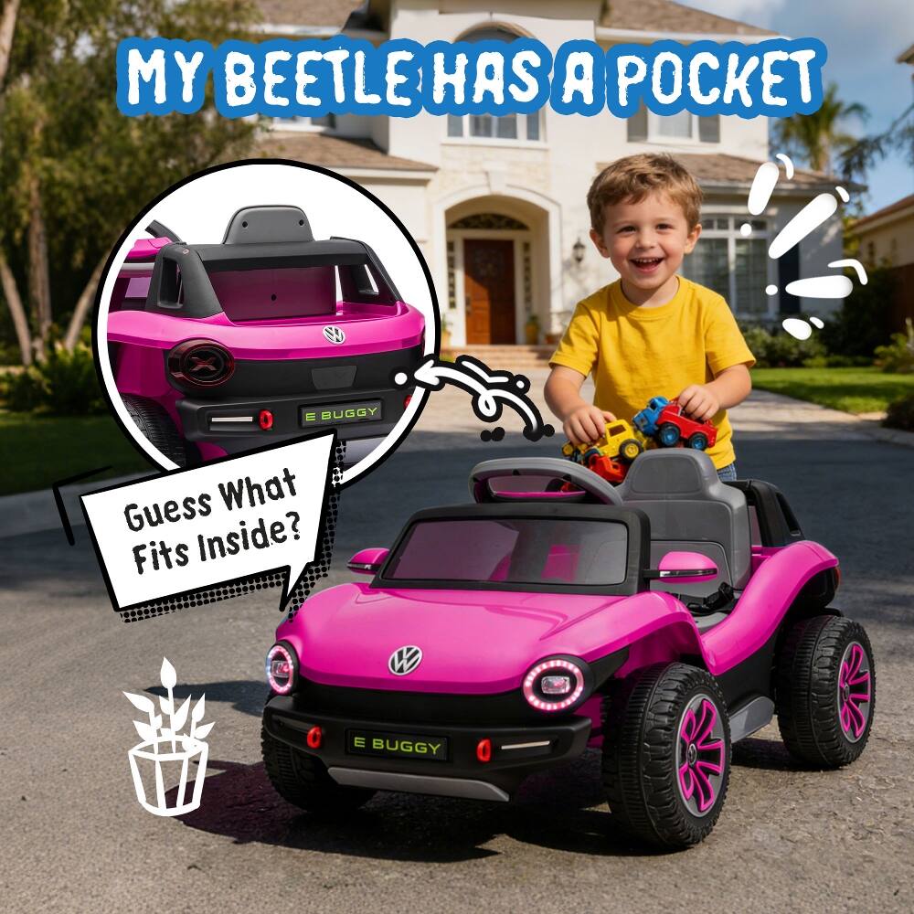 MY BEETLE HAS A POCKET

Guess What Fits Inside?