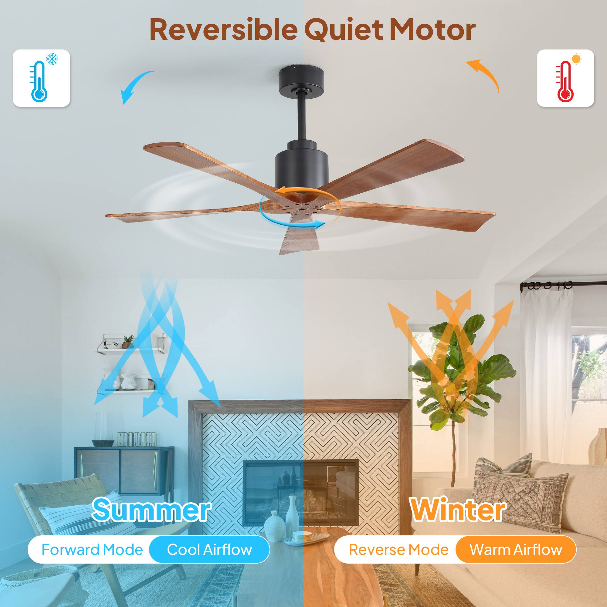 Reversible Quiet Motor

Summer
Forward Mode
Cool Airflow

Winter
Reverse Mode
Warm Airflow