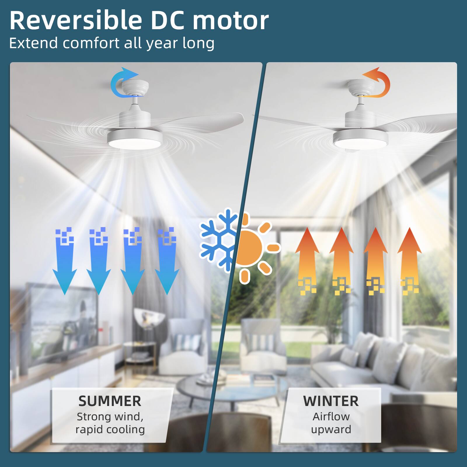 Reversible DC motor  
Extend comfort all year long  

SUMMER  
Strong wind, rapid cooling  

WINTER  
Airflow upward