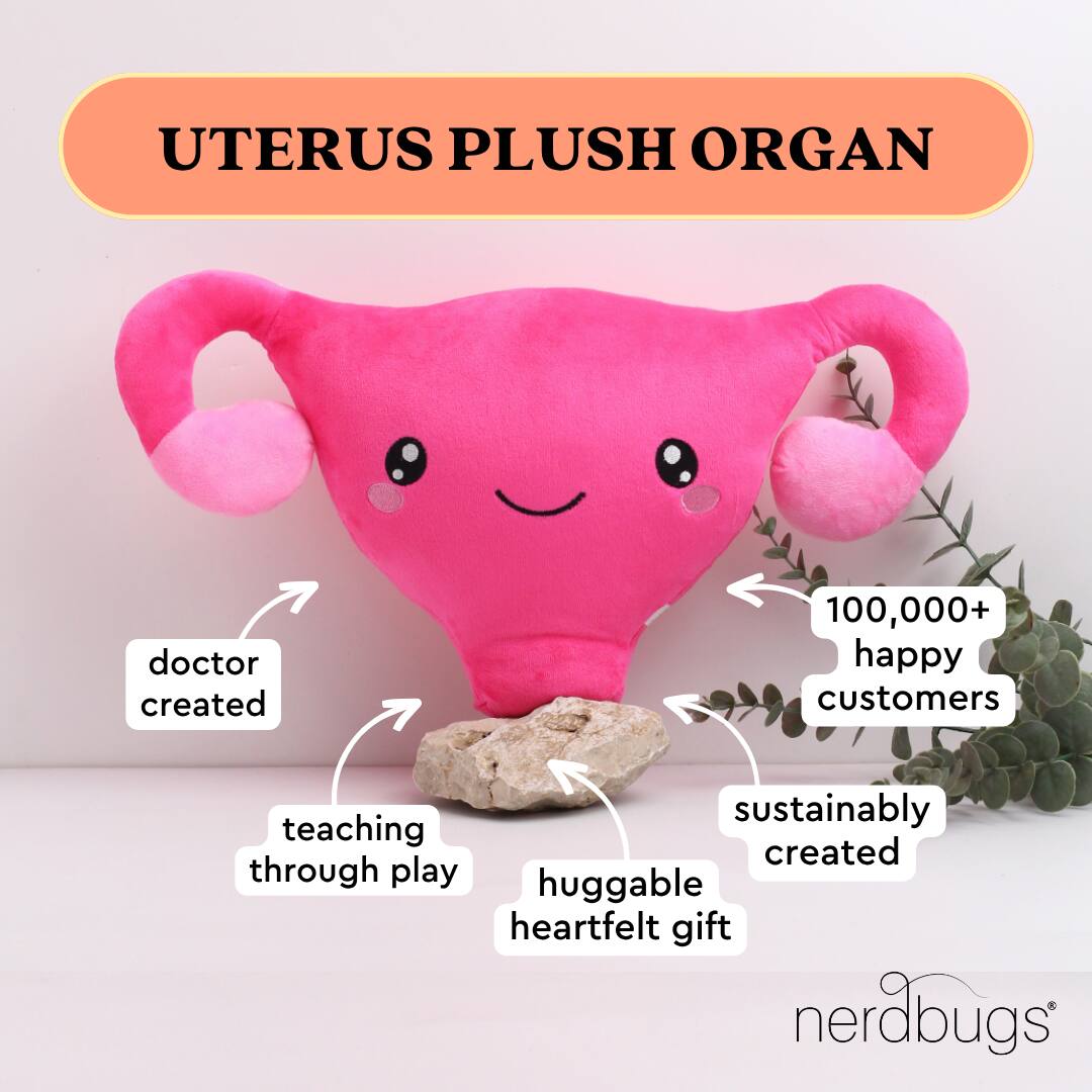 UTERUS PLUSH ORGAN

- doctor created
- teaching through play
- huggable heartfelt gift
- sustainably created
- 100,000+ happy customers

nerdbugs®