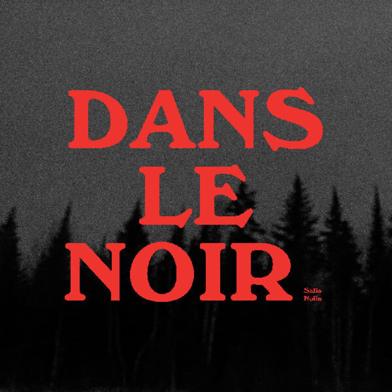DANS LE NOIR  
Nolin Salia