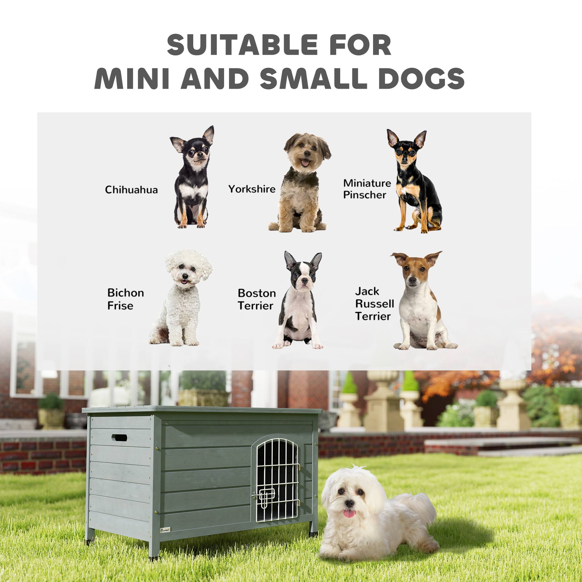 SUITABLE FOR  
MINI AND SMALL DOGS

- Chihuahua
- Yorkshire
- Miniature Pinscher
- Bichon Frise
- Boston Terrier
- Jack Russell Terrier