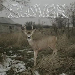 Sleeper's Bell - Clover - CASSETTES
