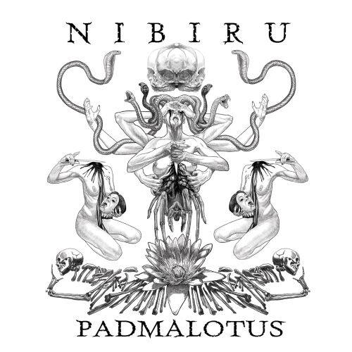 

Padmalotus [LP] - VINYL