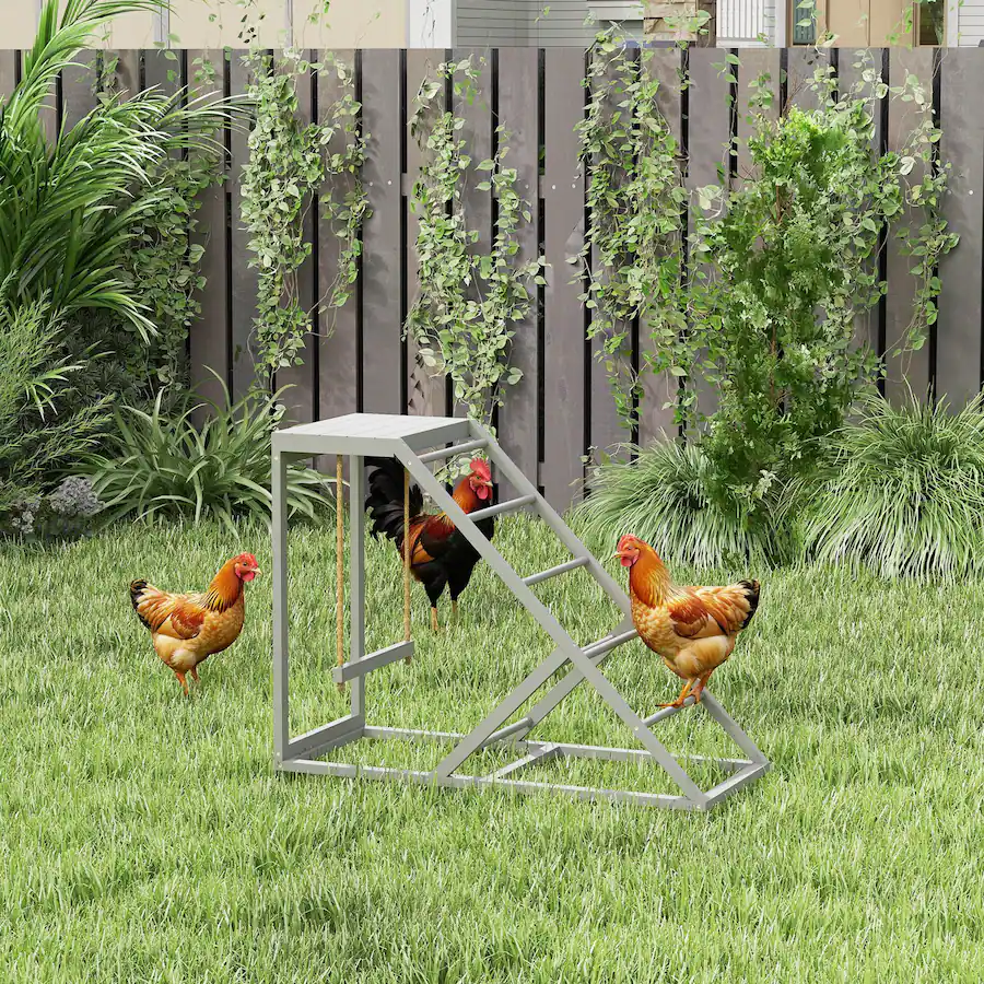 Hen Perching Pawhut Activity Play for Healthy & Happy Animals, Swing Set with ...