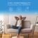 3-IN-1 FUNCTIONALITY
AIR CONDITIONER + FAN + DEHUMIDIFIER