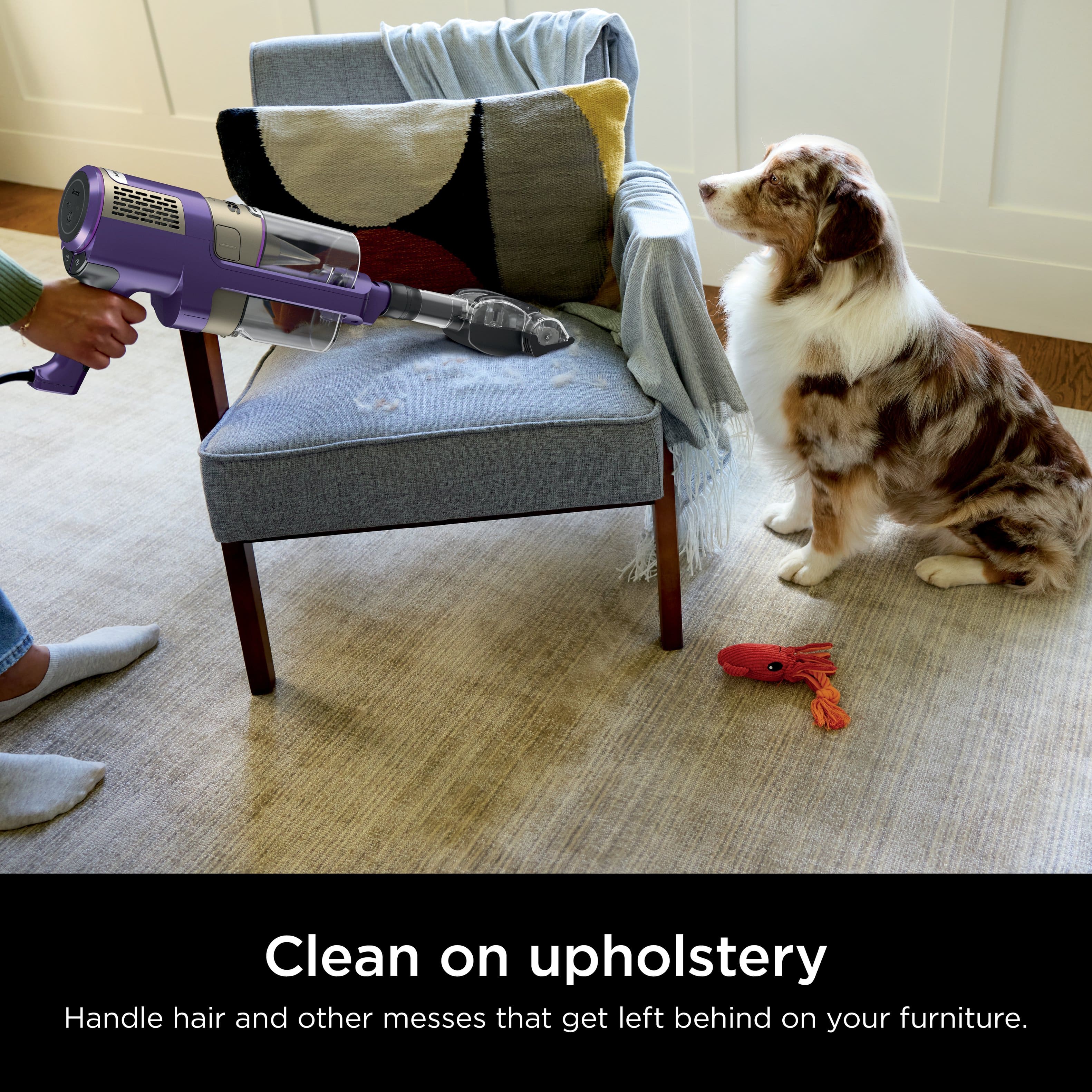 Clean on upholstery: Handle hair and other messes that get left behind on your furniture.