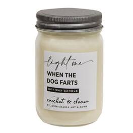 BreeBe - Dog Farts Soy Wax Mason Jar Candle - 12oz - Multi
